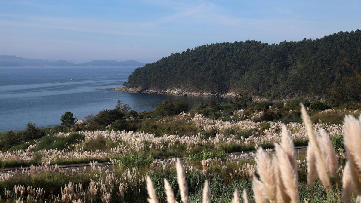 Vista de la parroquia de Dorrón.