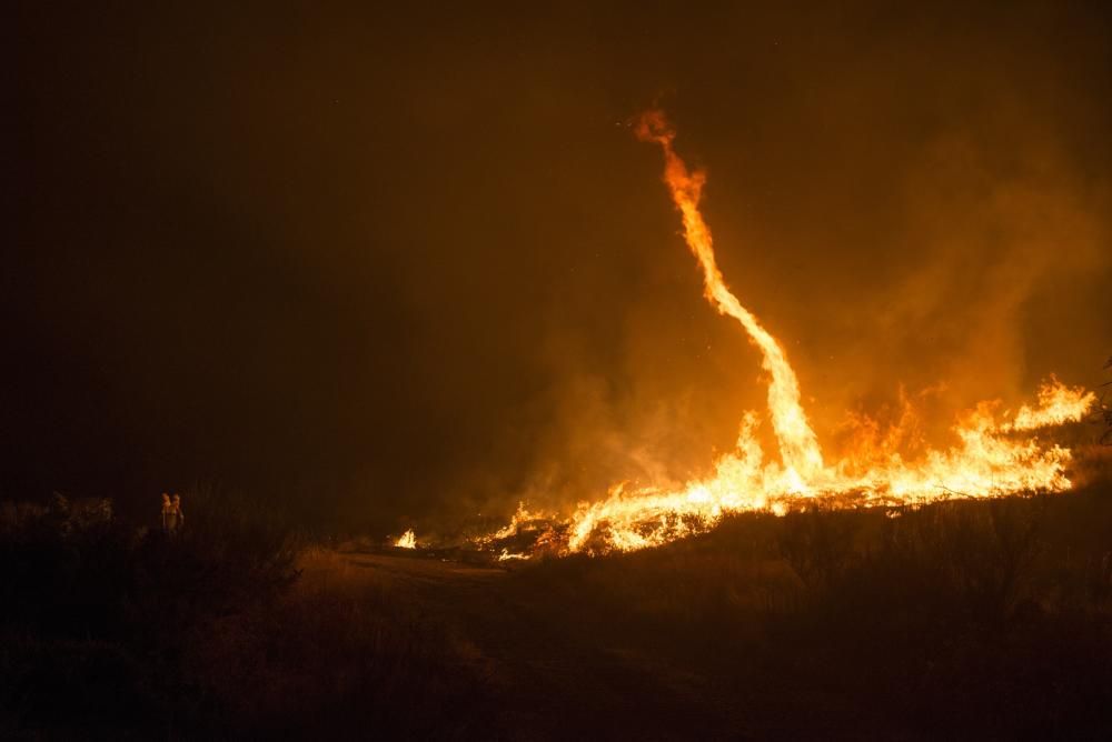 Oimbra sufre un incendio forestal // B.Lorenzo