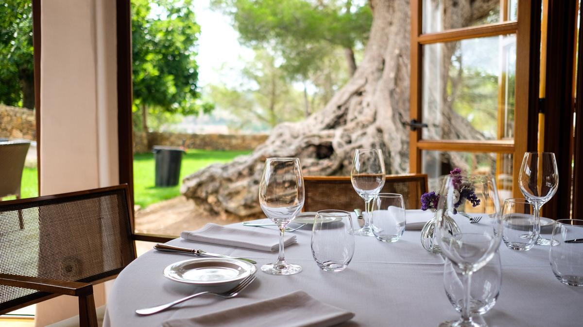 El restaurante está ubicado en plena naturaleza, en Sant Carles.