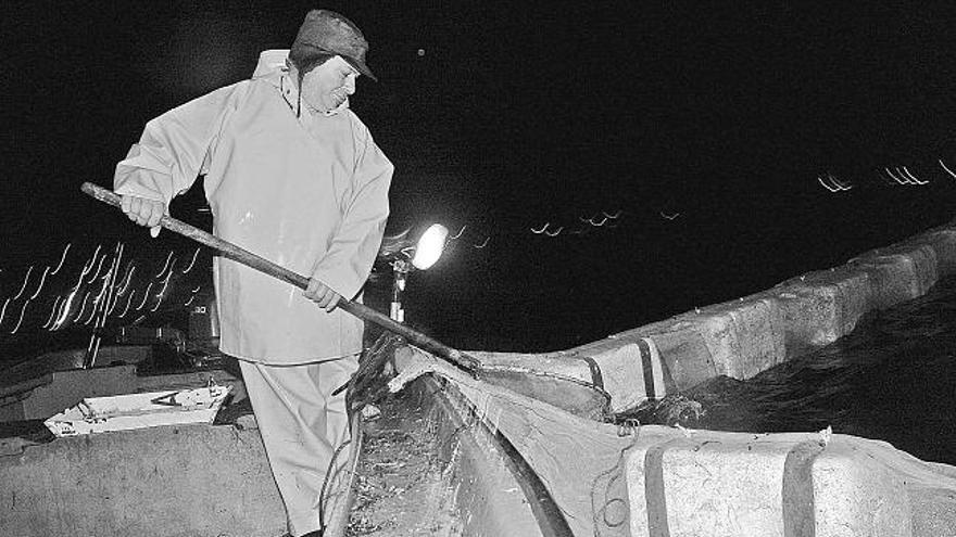 Un pescador en plena tarea de extracción de angula en el río Miño.