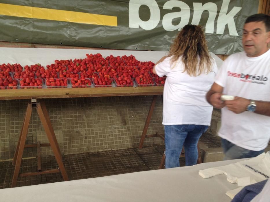 Festival de la fresa en Candamo