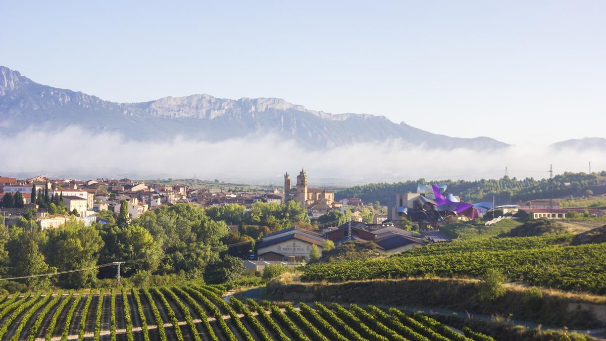 Viaja a Rioja a través de sus vinos