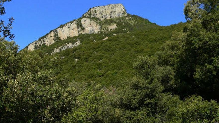 Camí de Bassegoda.