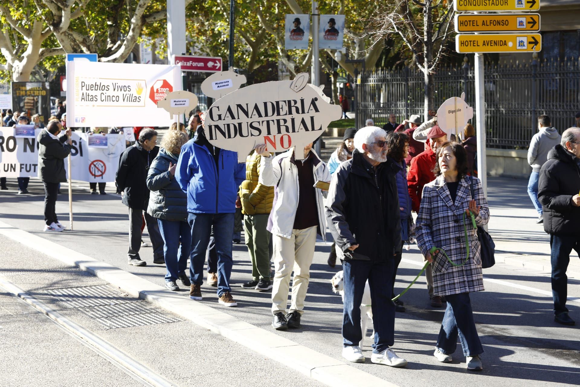 Cientos de personas se concentran contra el cambio climático en Zaragoza