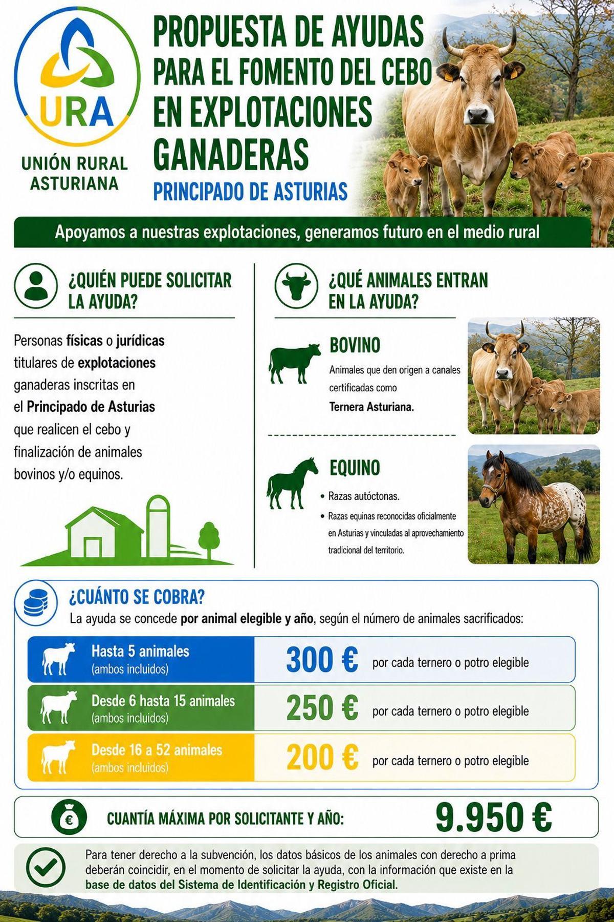 Propuesta de ayudas URA