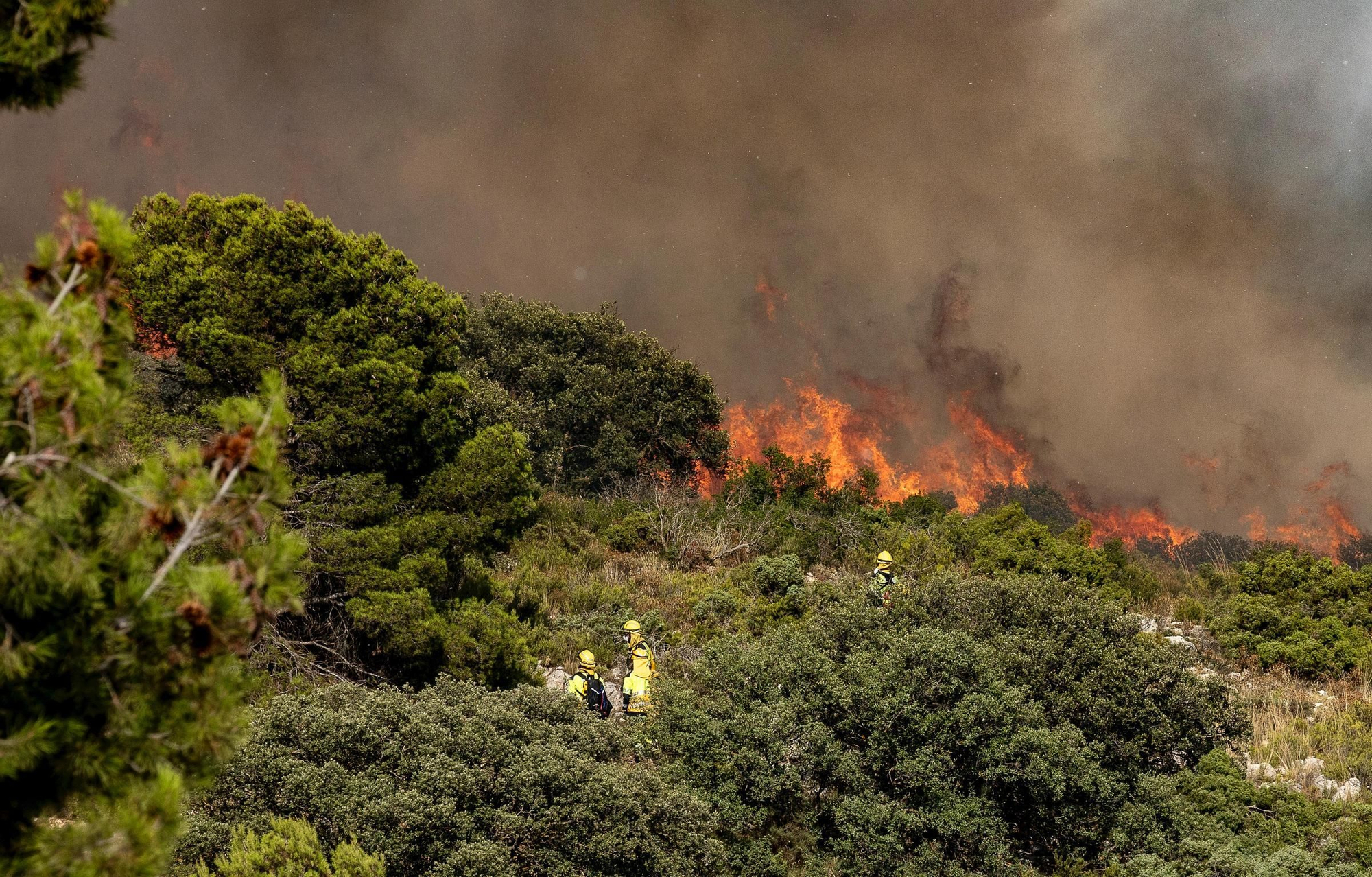 Incendio en el paraje de San Pascual en Ibi