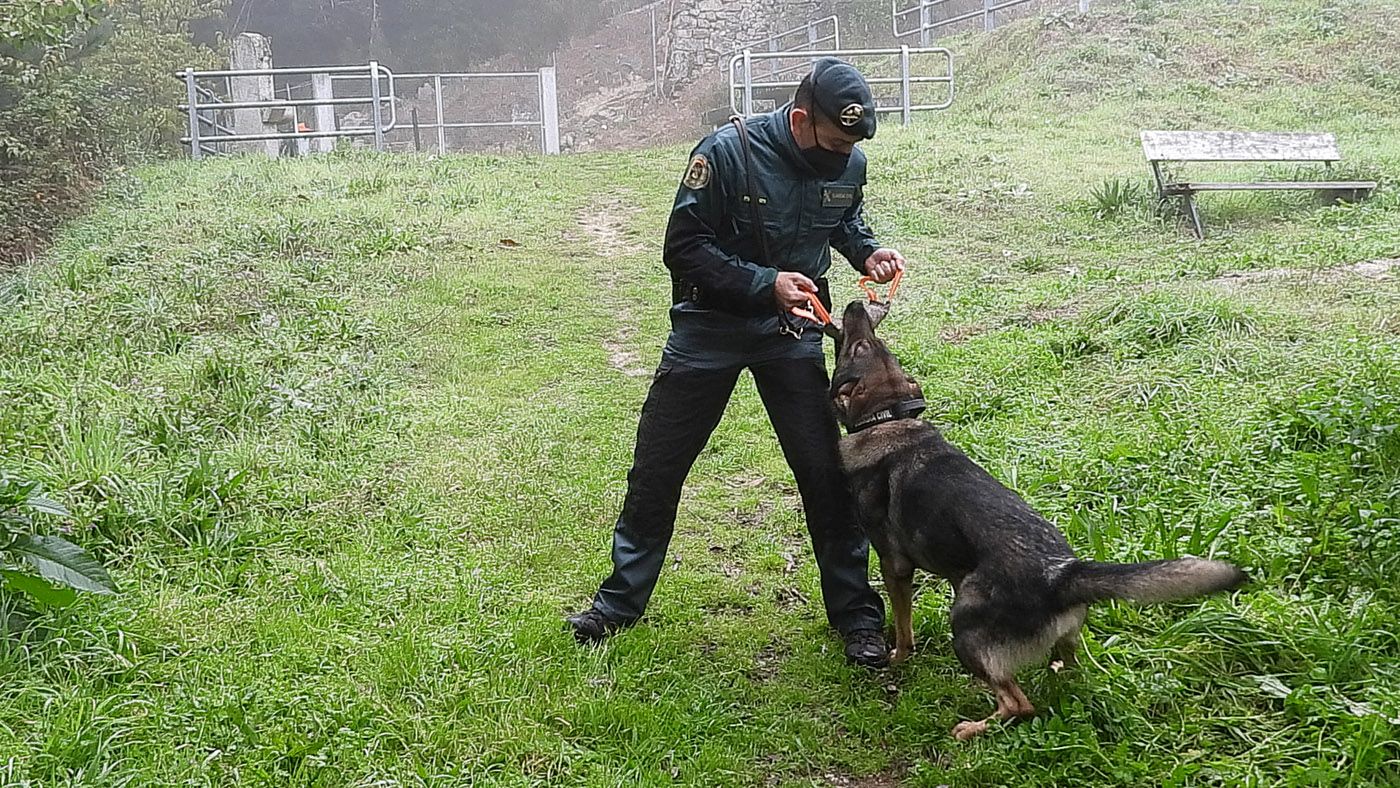 Un agente de la Guardia Civil con su perro, en Ourense