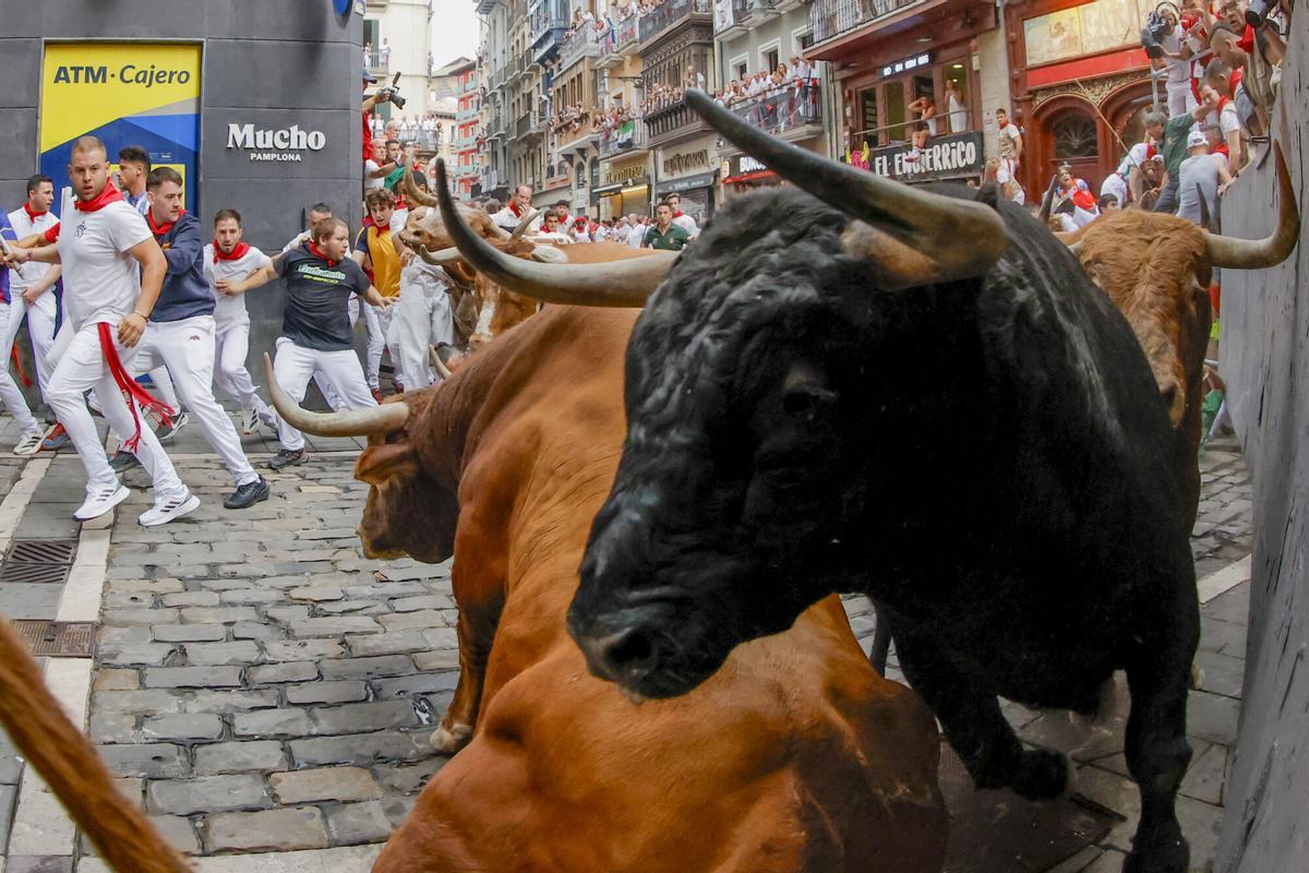 Veloz encierro de Álvaro Núñez con los toros liderando la carrera.