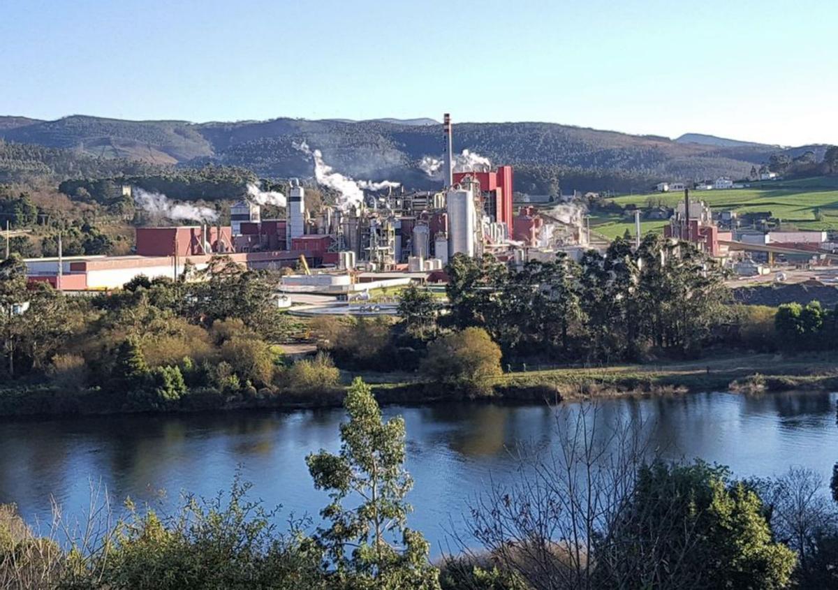 Fábrica de Ence en Navia. |