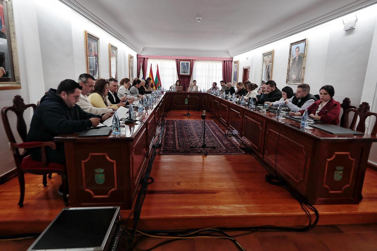 Imagen de un pleno del Ayuntamiento de Arona.