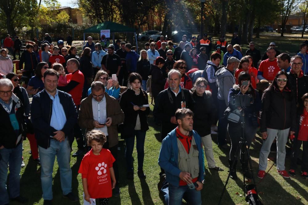 Así ha sido la Doggie Race en Benavente