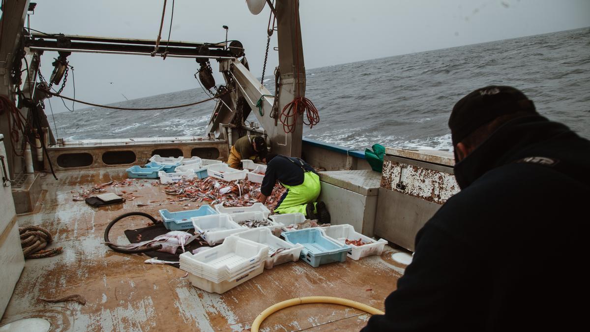 Un día en alta mar con los pescadores de Mallorca