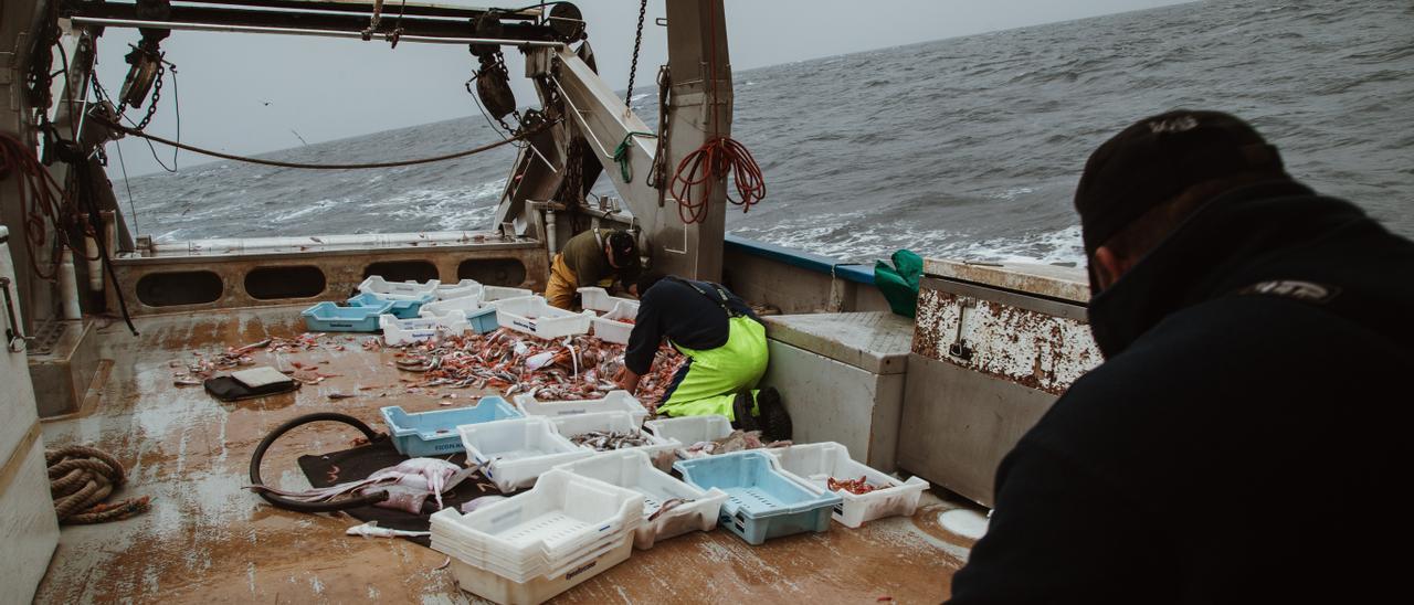 Un día en alta mar con los pescadores de Mallorca