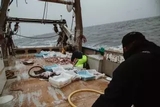 Un día en alta mar con los pescadores de Mallorca: "Volvemos a faenar en un mar de dudas"