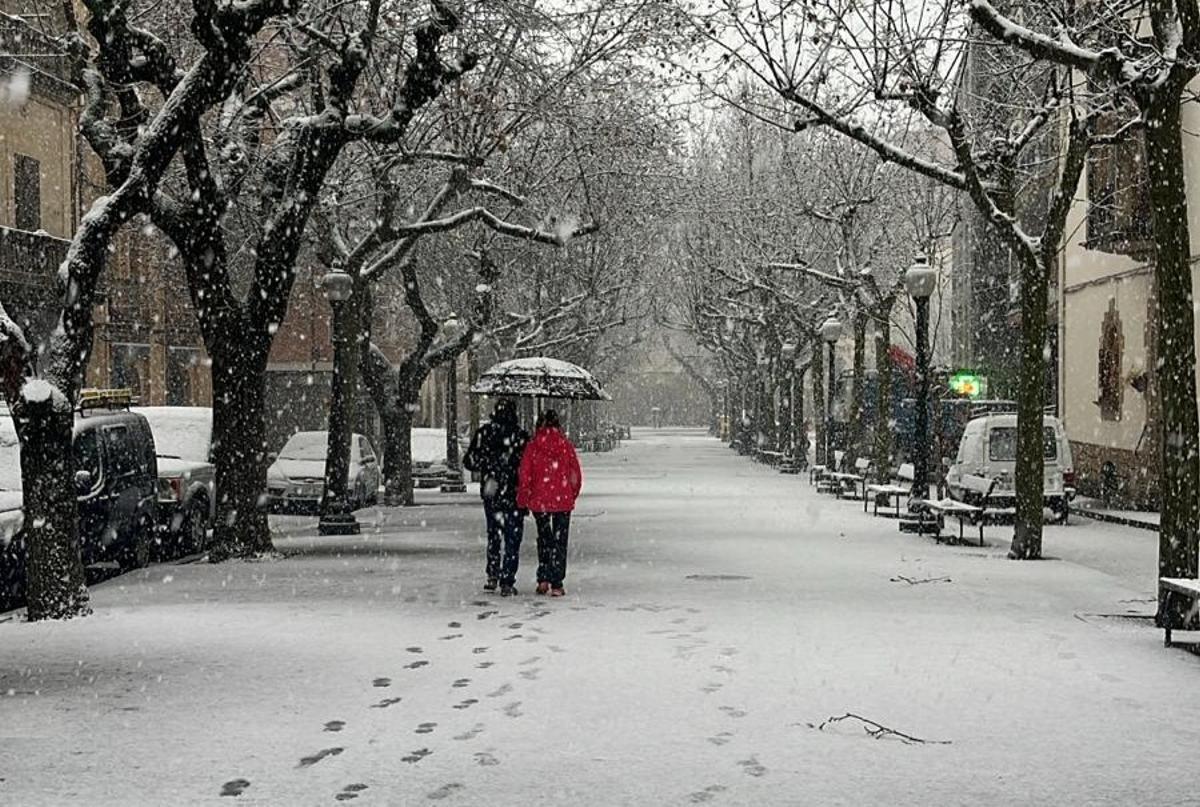 El passeig de Solsona, aquest matí