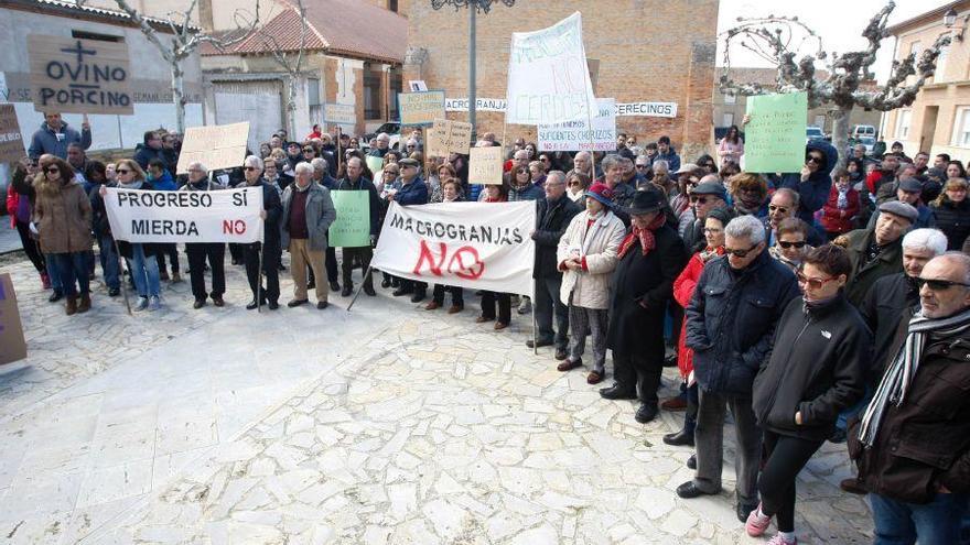 Manifestación en Cerecinos de Campos contra la macrogranja en enero pasado