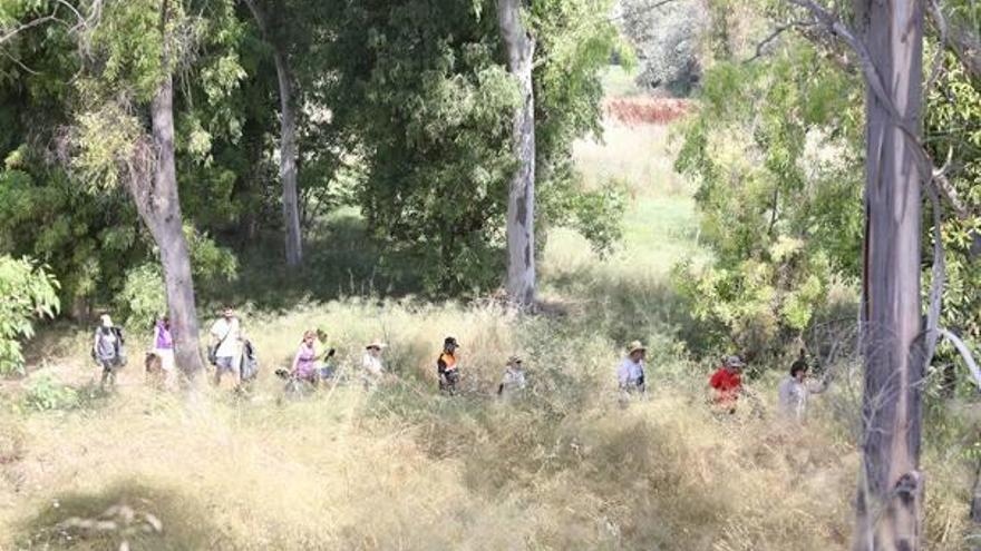 Algunos de los participantes en la jornada de limpieza del cauce del río Magro en l&#039;Alcúdia.