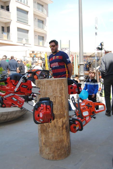 Segona jornada de la Fira de Sant Isidre a Solsona