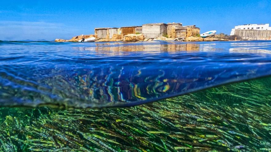 Una de la imágenes promocionales que utiliza Formentera en sus campañas turísticas