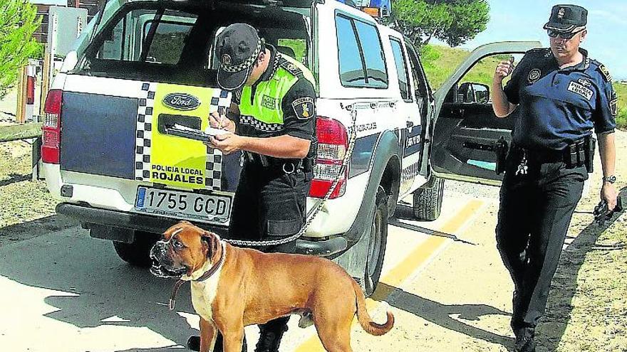 ¿Qué hago si me encuentro un perro abandonado?