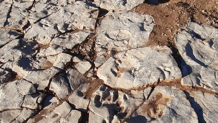 Huellas de dinosario en el yacimiento El Pozo