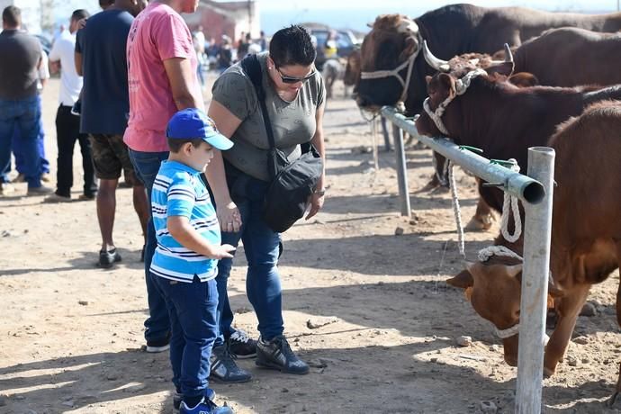 FIESTA DE SAN GREGORIO TELDE