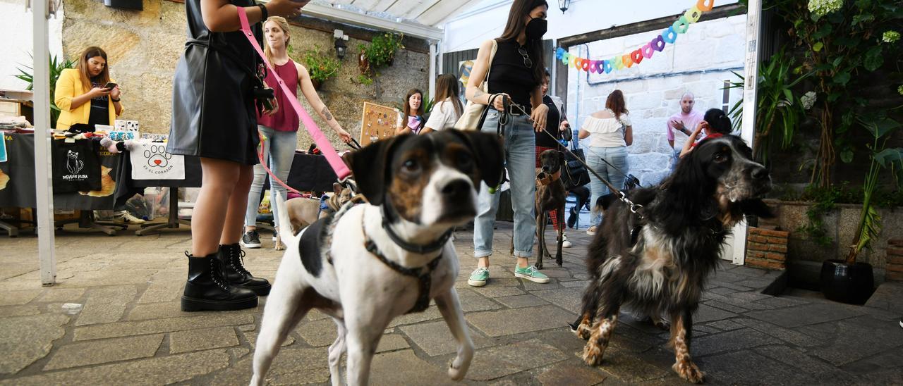 Participantes en la fiesta solidaria.