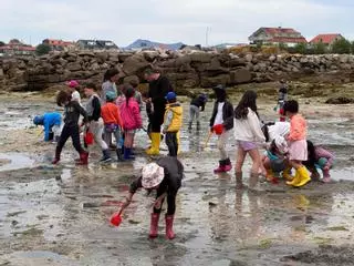 Una clase de marisqueo para niños con palas y rastrillos de plástico
