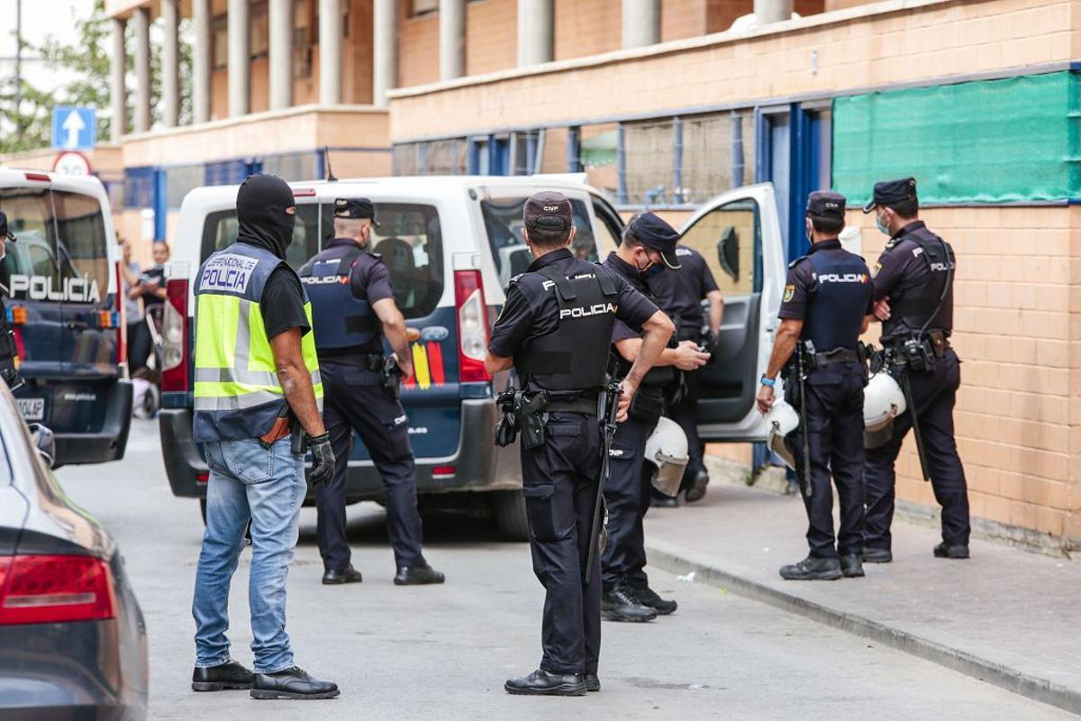 Intervención policial. Menudeo, gallos y tortugas en Ministriles, Lorca-3616.jpg
