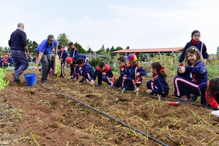 Visita escolar a la Granja Agricola del Cabildo