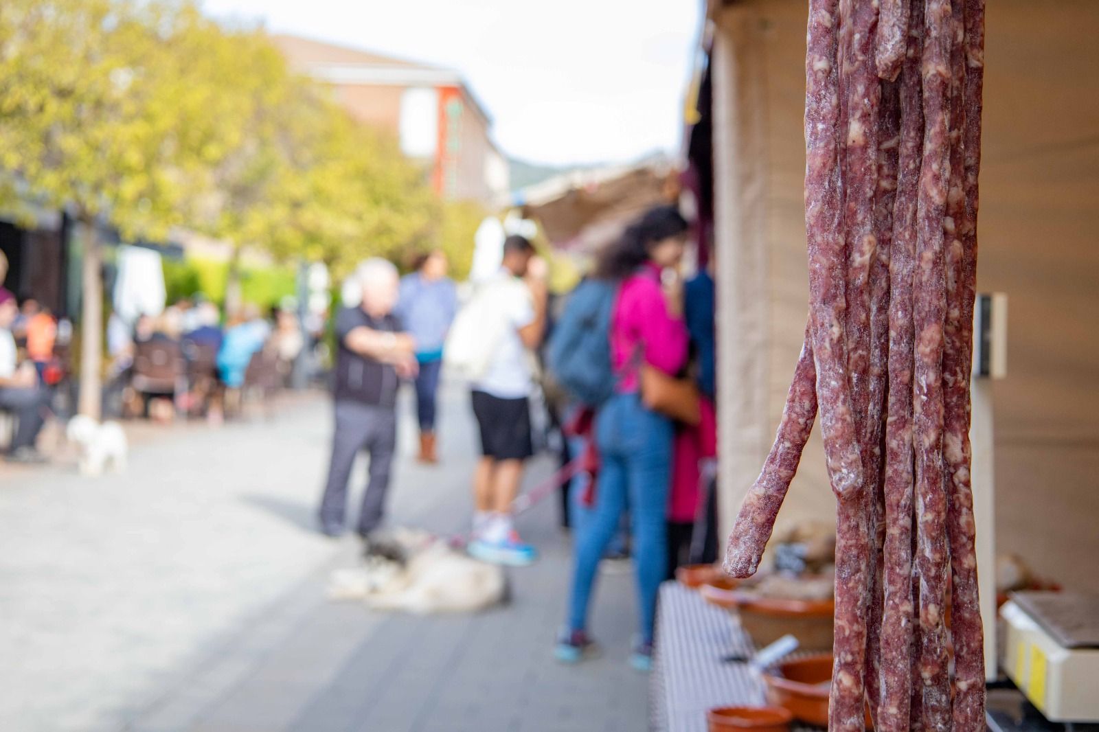 Les imatges del mercat del bolet de Cal Rosal