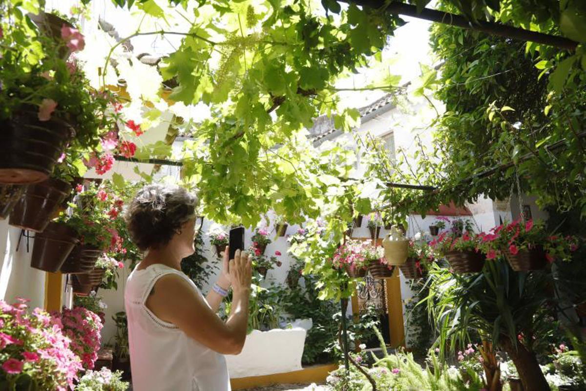 Principales premios del Concurso Municipal de Patios Cordobeses 2026