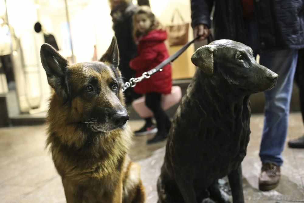 Grabación del documental sobre Rufo en Oviedo