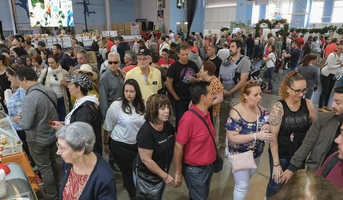 VALSEQUILLO. Feria de la fresa de Valsequillo  | 05/05/2019 | Fotógrafo: José Pérez Curbelo