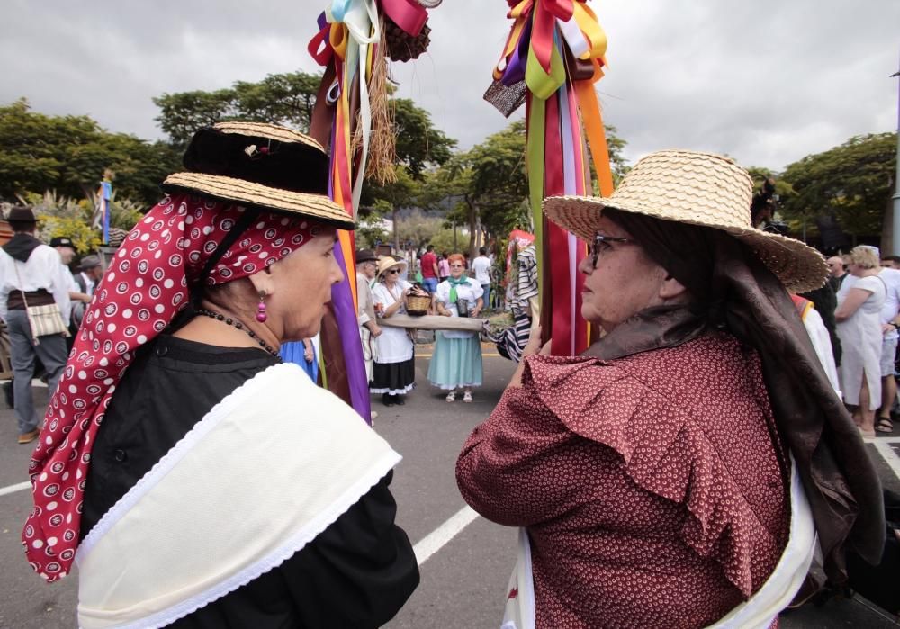 Romería y ofrenda a los patronos de Adeje