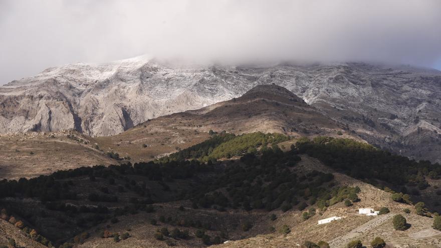 Primeras nevadas del invierno en zonas de montaña de Málaga