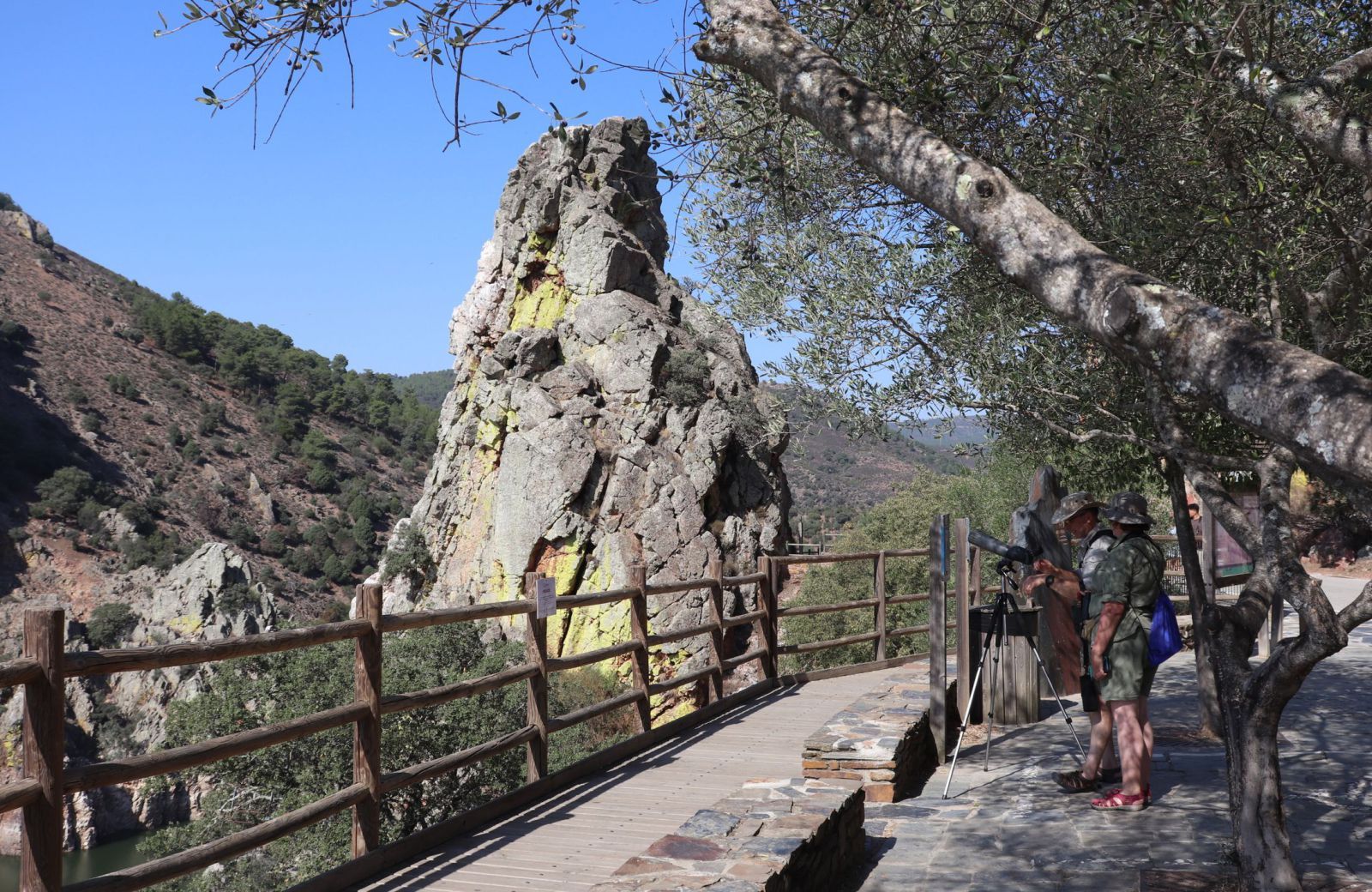 Quince espacios de visita inaplazable, image size:1600x1040