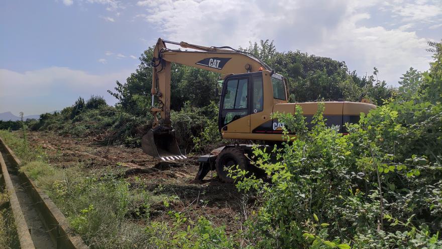 Carcaixent sancionará a los propietarios de campos en estado de abandono