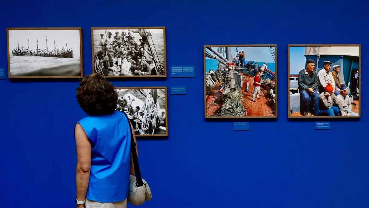 L'ETNO mostra l'art de pescar la tonyina dels 'almadravers' de Benidorm en 'La mar èpica'