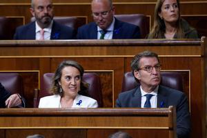 Feijóo y Gamarra en el Congreso durante el DEN.