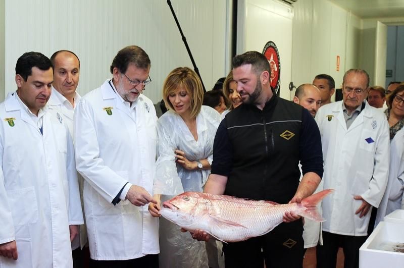 Mariano Rajoy inicia la precampaña en Málaga