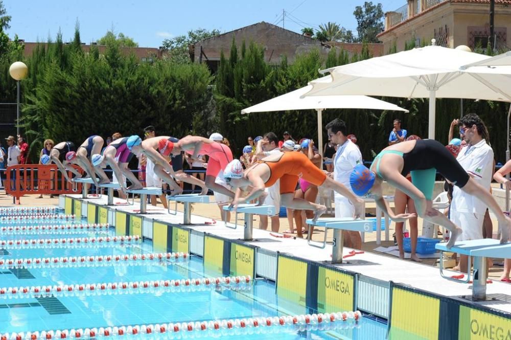 Trofeo Ciudad de Murcia