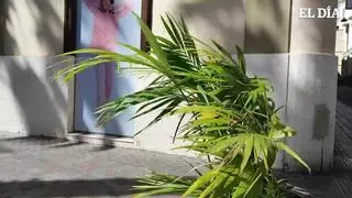 Así estará el tiempo este sábado en Canarias