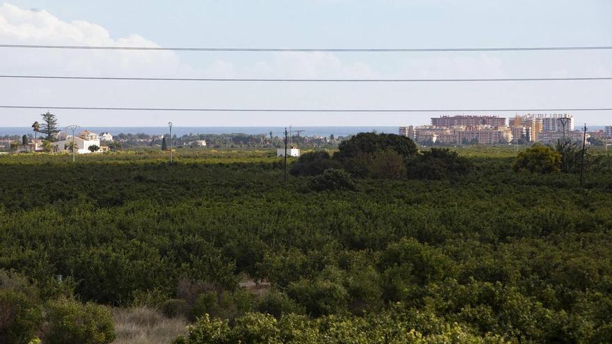 La defensa del patrimonio agrario de Montíber se hace escuchar en Sagunt