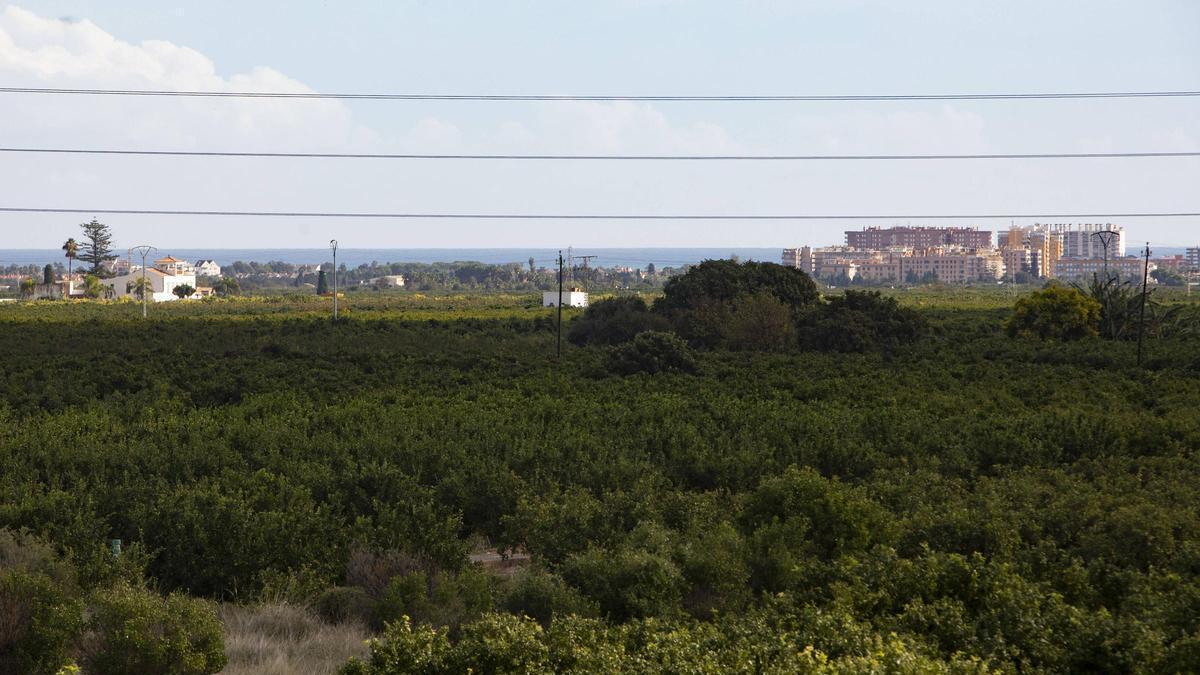Vista de terrenos de Montíber.