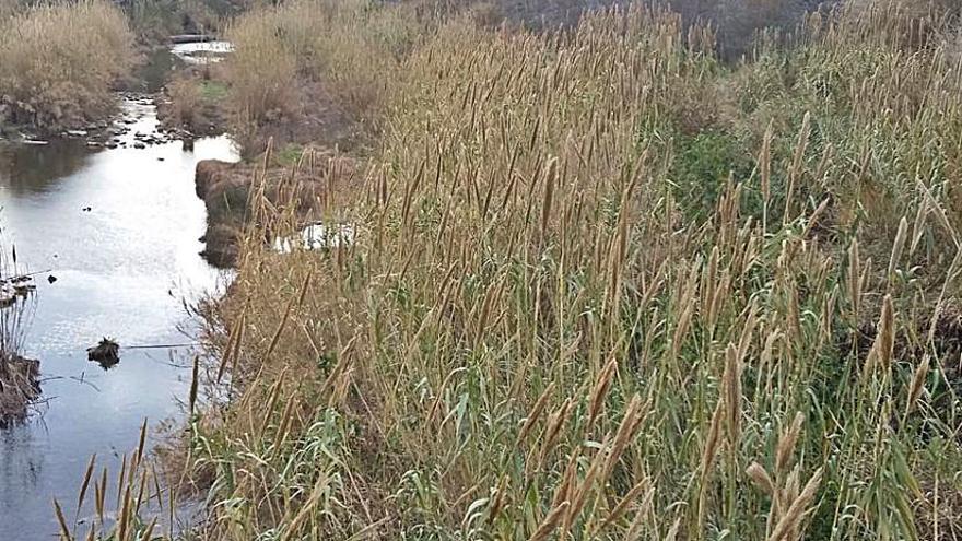 Gandia: Cara y cruz con «frontera» en el Pont Vell