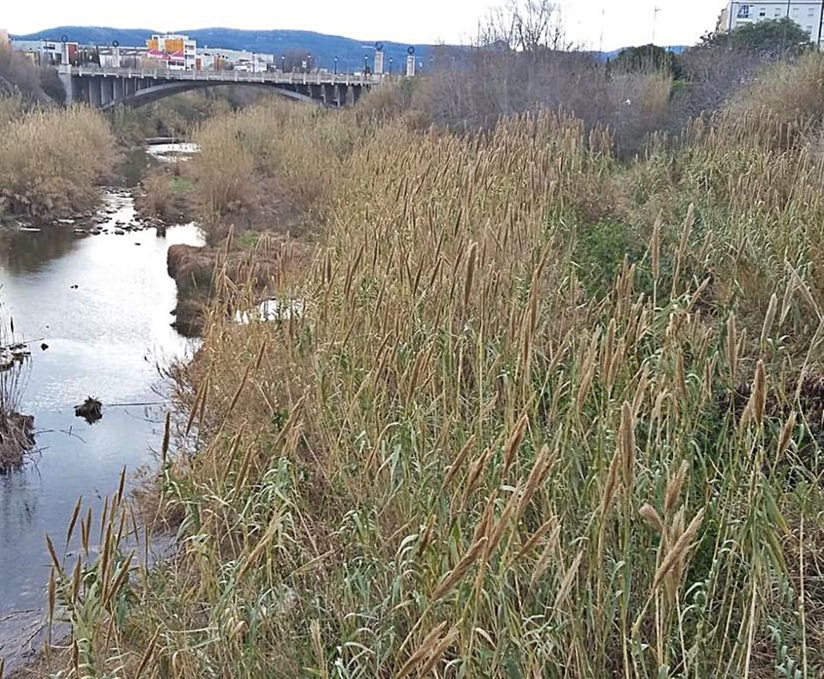 Gandia: Cara y cruz con «frontera» en el Pont Vell