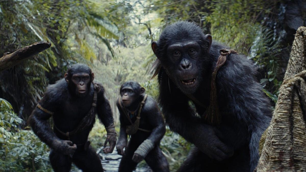 'El reino del planeta de los simios'.
