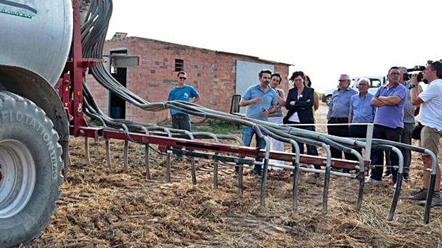 La consellera d&#039;Agricultura, a una finca de cereals d&#039;Albesa.