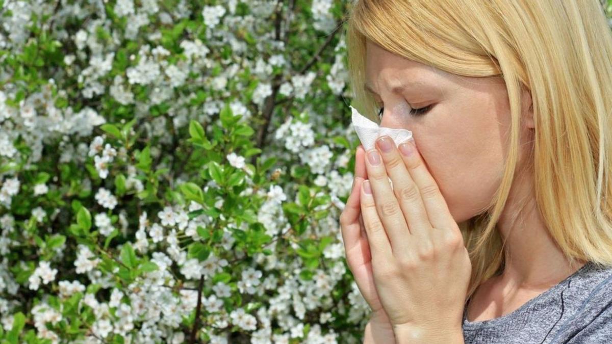 Una dona esternuda per un atac d’al·lèrgia provocat pel pol·len. | DIARI DE GIRONA